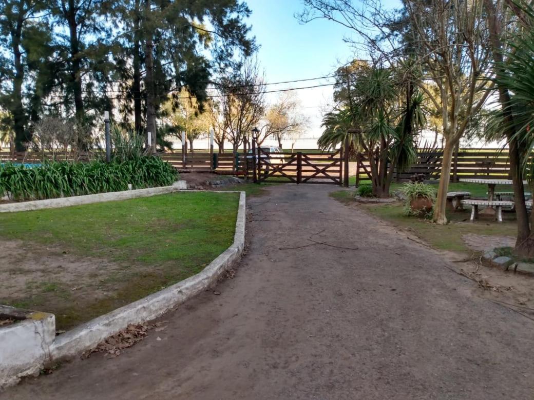 El Viejo Roble