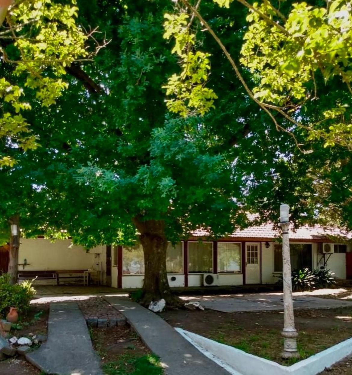 El Viejo Roble Lodge